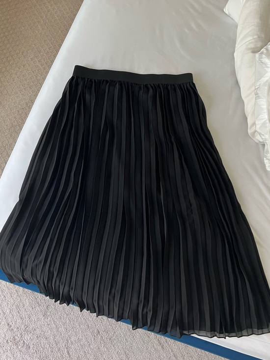 Dresses & Skirts - Classic Black Pleated Skirt